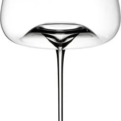 Zieher Weingläser Balanced Vision, 2er-Set