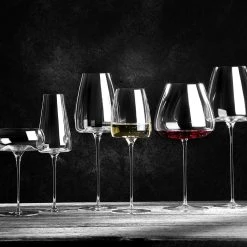 Zieher Geschenkset 2 Weingläser Und Dekanter 17 Zieher Geschenkset 2 Weingläser Und Dekanter -Red wine glass shop SF VISION 5480 09 7
